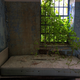 Image for article titled The Creepy World of Abandoned Asylums